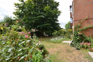 Photo 25- click for photo gallery